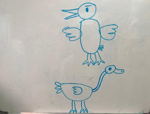 Birds Drawing