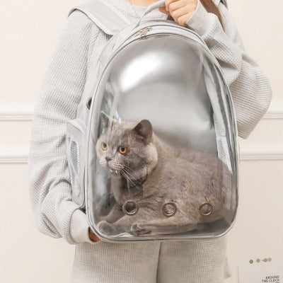 bags ideal for cats with holes