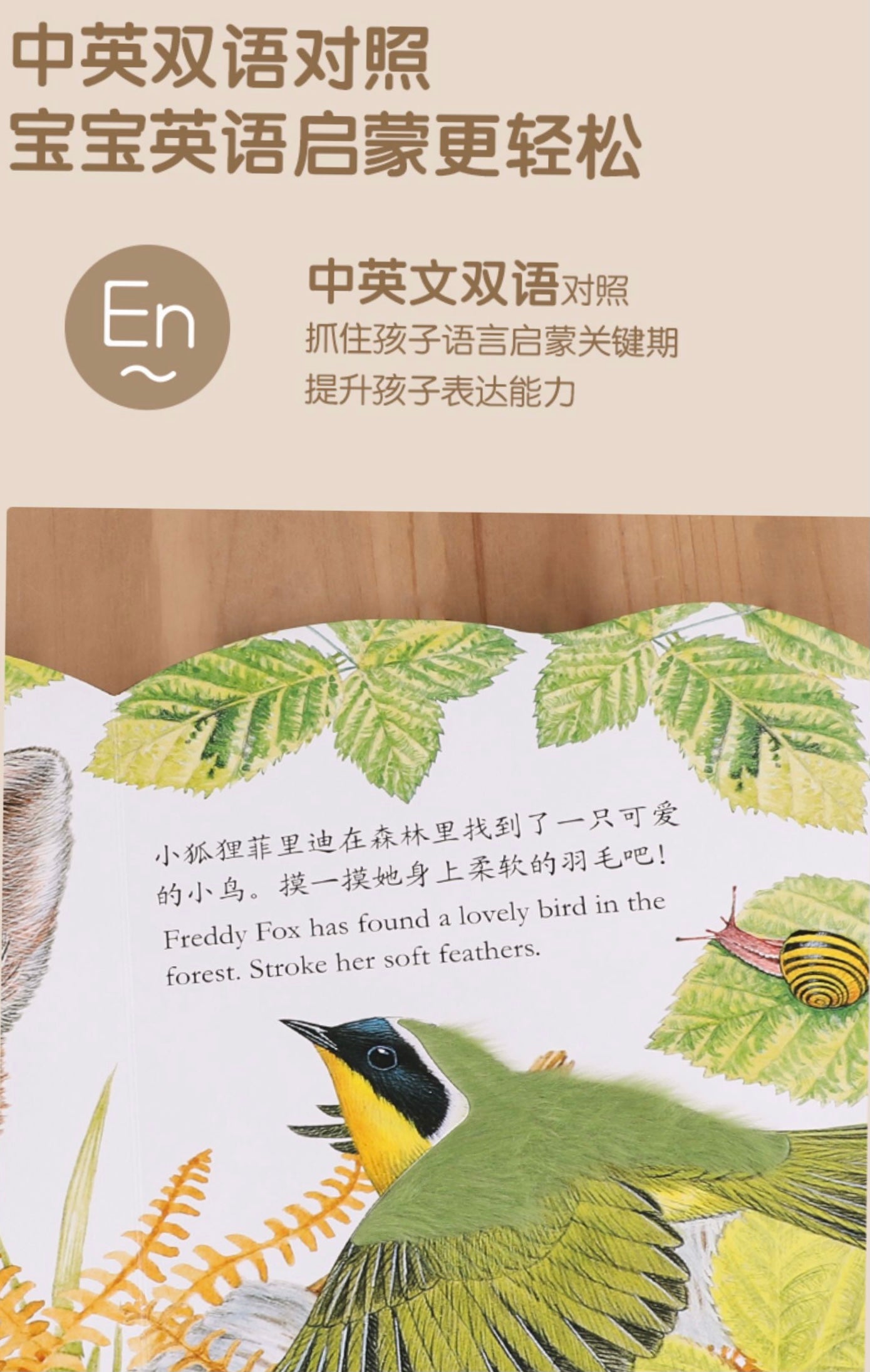 Touch-and-Feel Board Book (Individual Copy) 小小兔比利/ 小熊波比/ 小水獺奧斯卡/ 小貓鷹奧奇