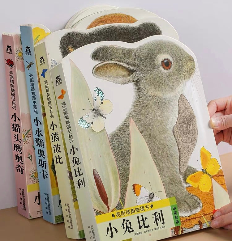 Touch-and-Feel Board Book (Individual Copy) 小小兔比利/ 小熊波比/ 小水獺奧斯卡/ 小貓鷹奧奇