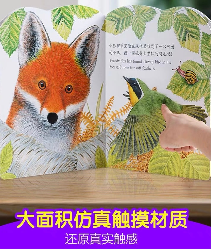 Touch-and-Feel Board Book (Individual Copy) 小小兔比利/ 小熊波比/ 小水獺奧斯卡/ 小貓鷹奧奇