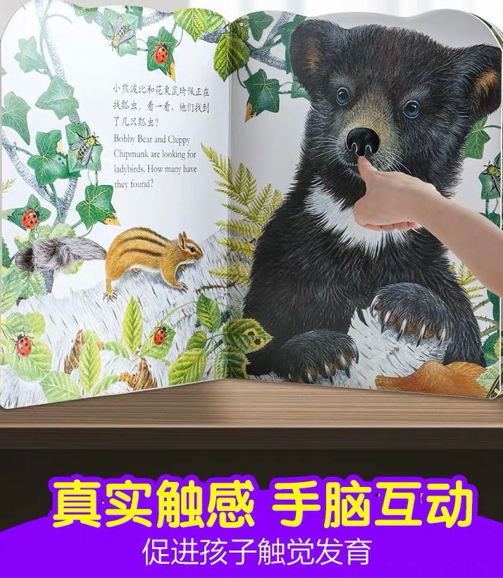 Touch-and-Feel Board Book (Individual Copy) 小小兔比利/ 小熊波比/ 小水獺奧斯卡/ 小貓鷹奧奇