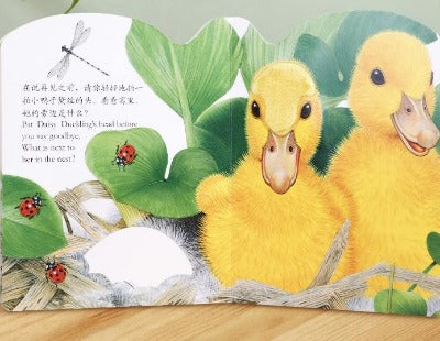 ducks in a bilingual board book 