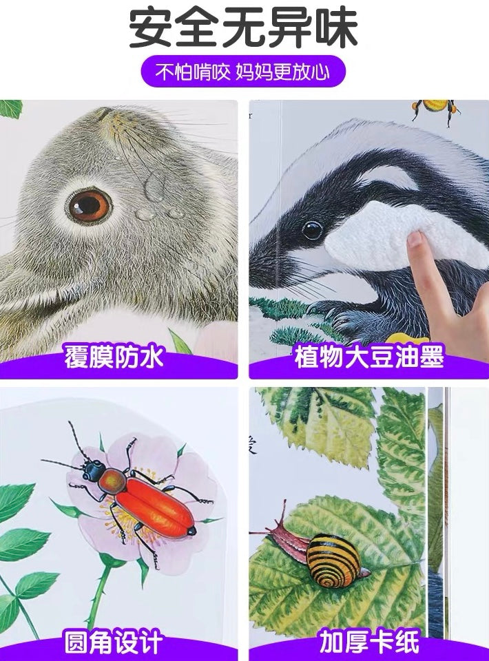 Touch-and-Feel Board Book (Individual Copy) 小小兔比利/ 小熊波比/ 小水獺奧斯卡/ 小貓鷹奧奇