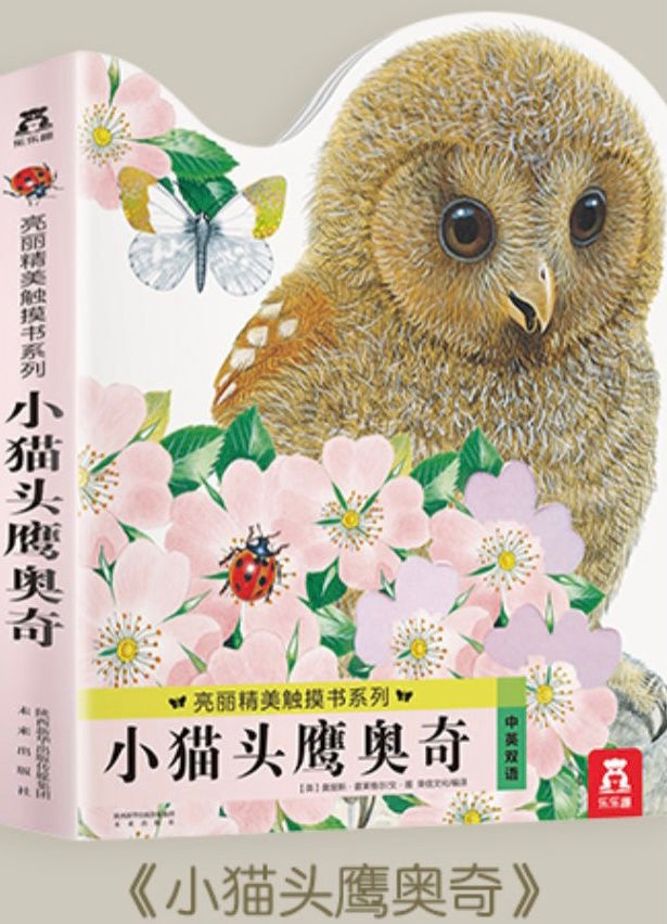 Touch-and-Feel Board Book (Individual Copy) 小小兔比利/ 小熊波比/ 小水獺奧斯卡/ 小貓鷹奧奇