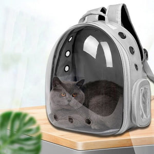 gray transparent backpack for cat